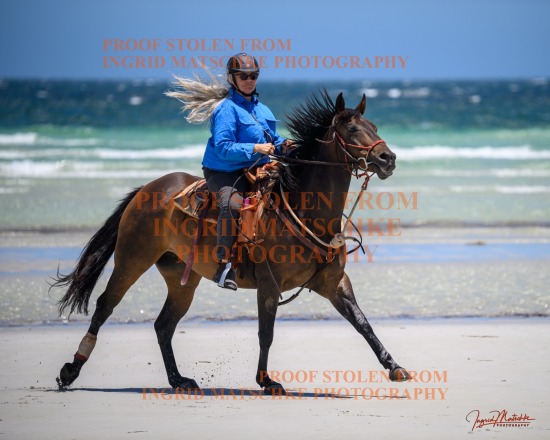 Horses On The Beach, Wallaroo - Jan '24