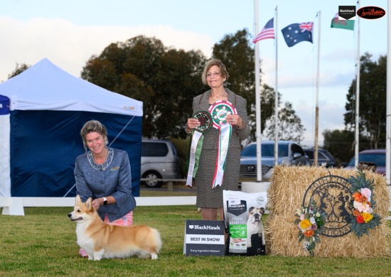 20th Corgi National, May 25