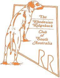 Rhodesian Ridgeback Club of SA Champ Show, Oct 25 - GALLERIES - DOGS ...