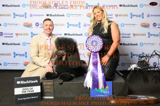 DOTY Australian Final, Feb 26