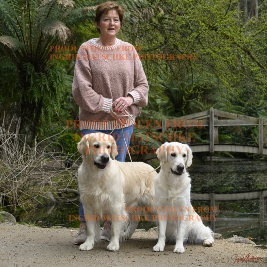 Individual Golden Ret Shoot, Sept 25