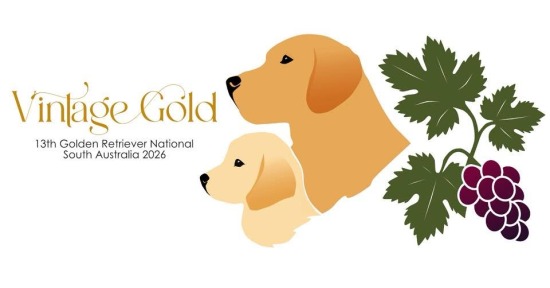 13th Golden Retriever National (SA) - Aug 2026